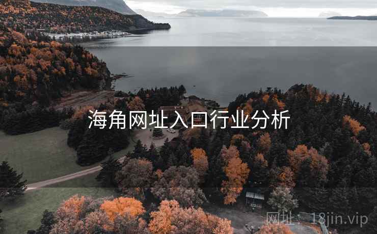 海角网址入口行业分析 第1张 海角网址入口行业分析 第1张