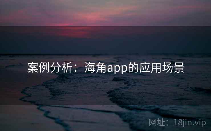 案例分析：海角app的应用场景