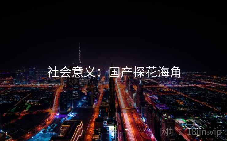 社会意义：国产探花海角