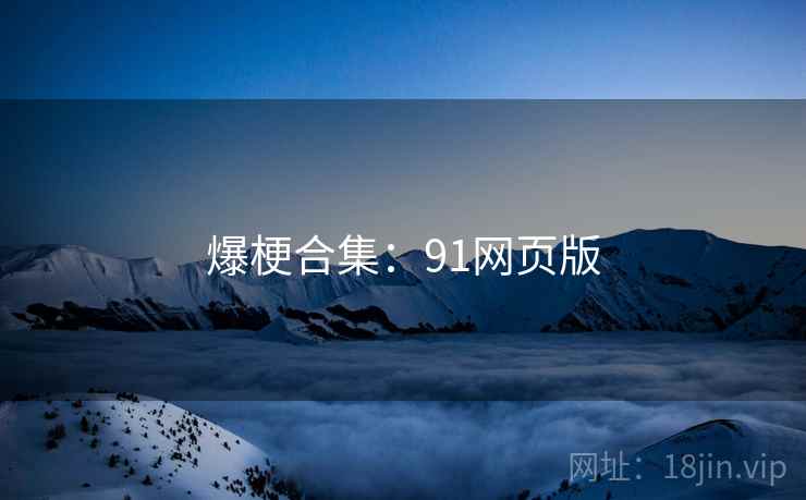 爆梗合集：91网页版