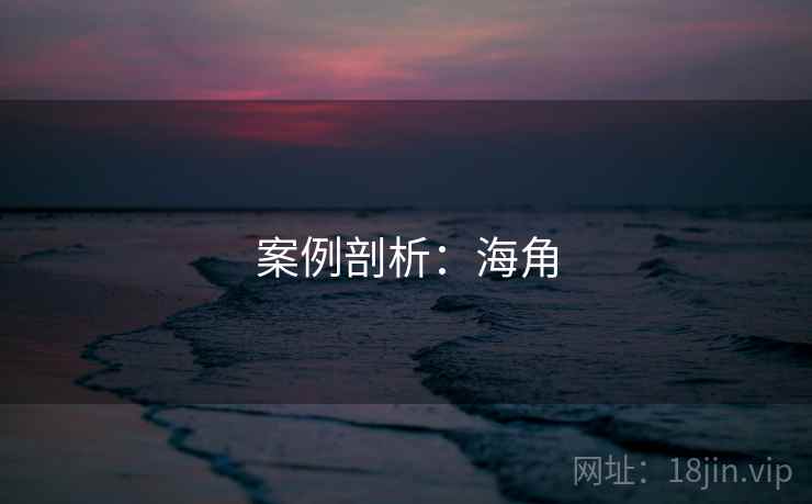 案例剖析:海角